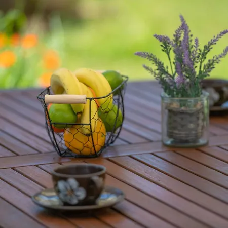 Typisch Istrisches Mit Garten * Roial