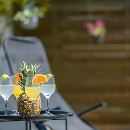Typisch Istrisches Mit Garten Roial
